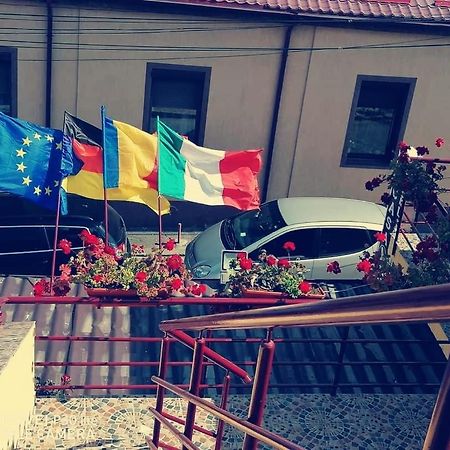 Pensiunea Pelican Tulcea Exteriör bild
