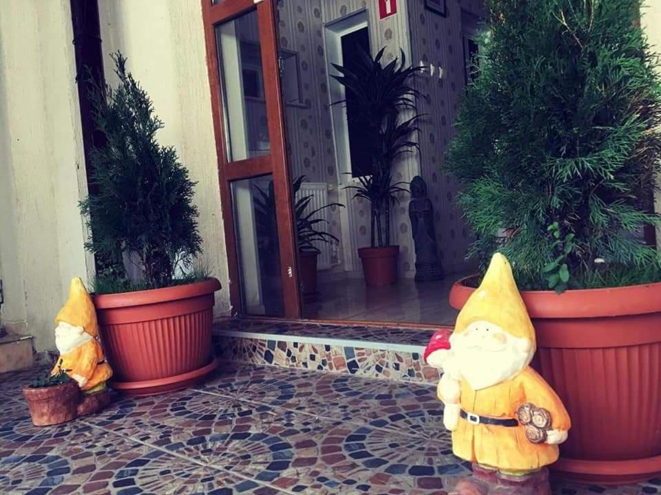 Pensiunea Pelican Tulcea Exteriör bild